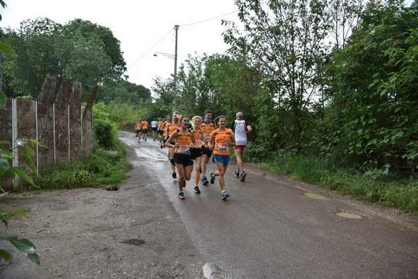 Maratonina di Villa Adriana [TOP] [C.C.R.]  (19/05/2019) 00023