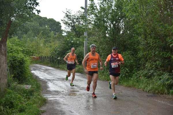 Maratonina di Villa Adriana [TOP] [C.C.R.]  (19/05/2019) 00031