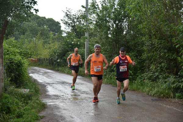 Maratonina di Villa Adriana [TOP] [C.C.R.]  (19/05/2019) 00032