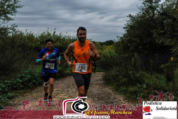 Maratonina di S.Alberto Magno [TOP] (16/11/2019) 00011