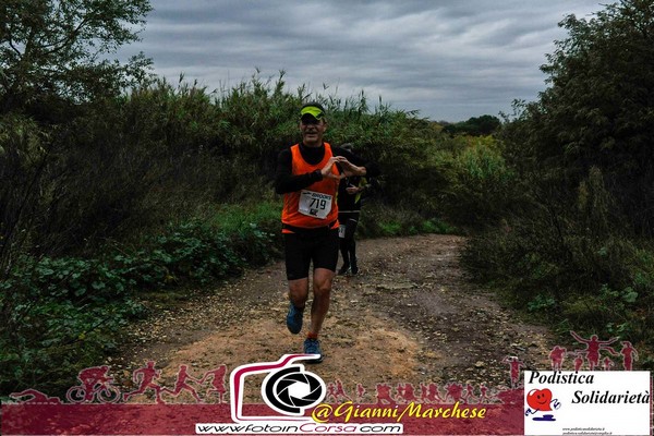 Maratonina di S.Alberto Magno [TOP] (16/11/2019) 00013