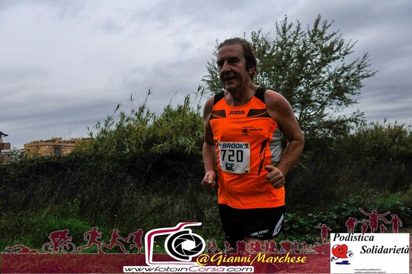 Maratonina di S.Alberto Magno [TOP] (16/11/2019) 00041