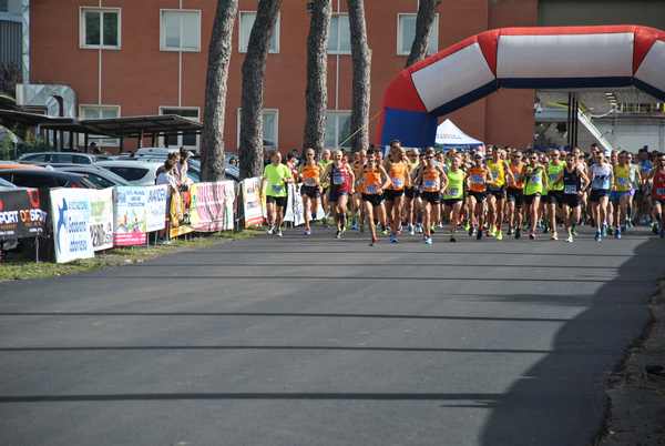 Maratonina 