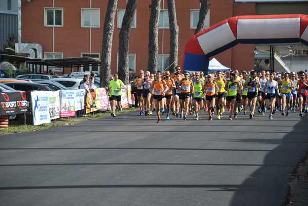 Maratonina 