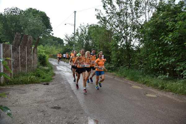 Maratonina di Villa Adriana [TOP] [C.C.R.]  (19/05/2019) 00024