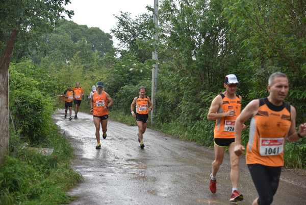 Maratonina di Villa Adriana [TOP] [C.C.R.]  (19/05/2019) 00037