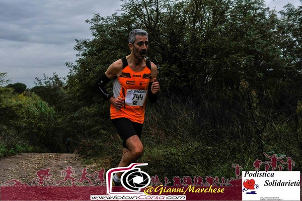 Maratonina di S.Alberto Magno [TOP] (16/11/2019) 00008