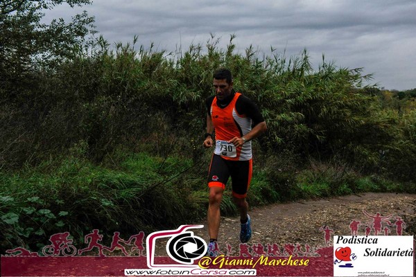 Maratonina di S.Alberto Magno [TOP] (16/11/2019) 00011