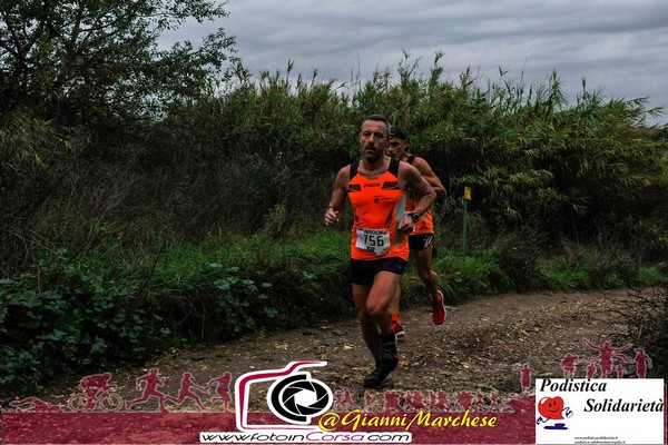 Maratonina di S.Alberto Magno [TOP] (16/11/2019) 00024