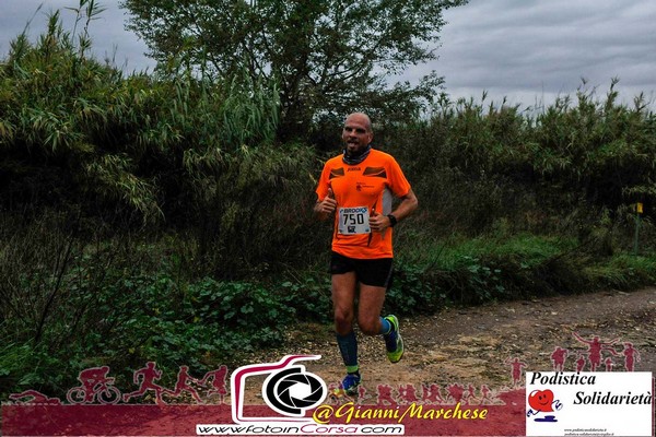 Maratonina di S.Alberto Magno [TOP] (16/11/2019) 00028