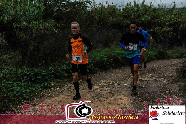 Maratonina di S.Alberto Magno [TOP] (16/11/2019) 00067