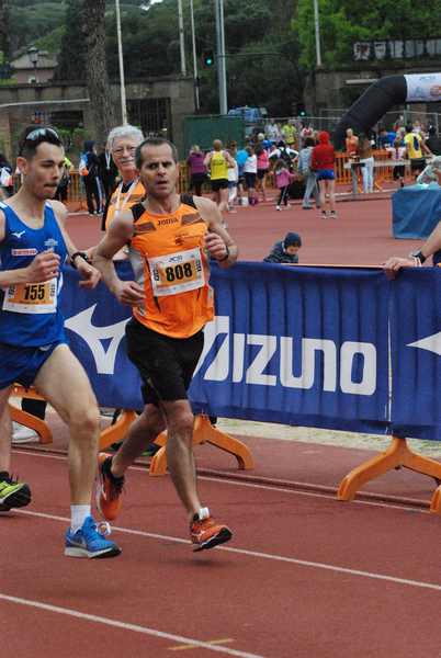 Appia Run [TOP] - [Trofeo AVIS] (28/04/2019) 00010
