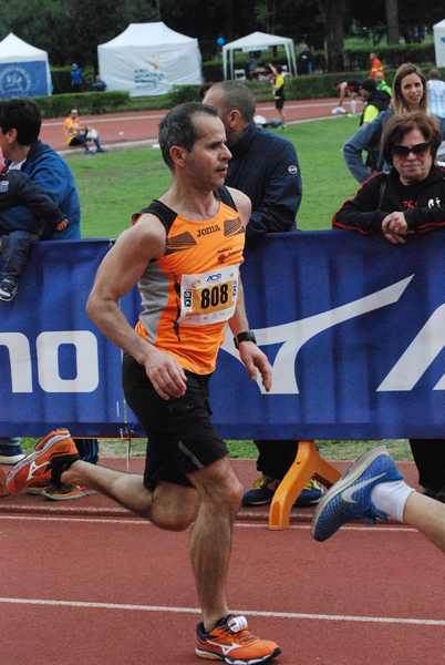 Appia Run [TOP] - [Trofeo AVIS] (28/04/2019) 00011