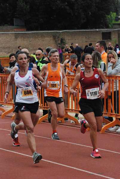 Appia Run [TOP] - [Trofeo AVIS] (28/04/2019) 00078
