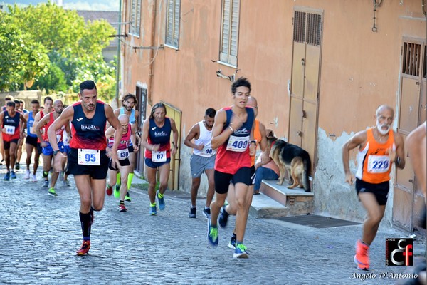 Gara Podistica Internazionale S.Lorenzo (29/09/2019) 00026