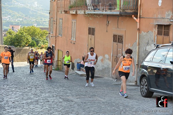 Gara Podistica Internazionale S.Lorenzo (29/09/2019) 00045