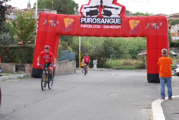 Corsa del S.S. Salvatore - Trofeo Fabrizio Irilli  [C.C.R.] (08/09/2019) 00008