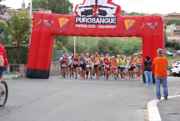 Corsa del S.S. Salvatore - Trofeo Fabrizio Irilli  [C.C.R.] (08/09/2019) 00012
