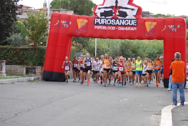 Corsa del S.S. Salvatore - Trofeo Fabrizio Irilli  [C.C.R.] (08/09/2019) 00014