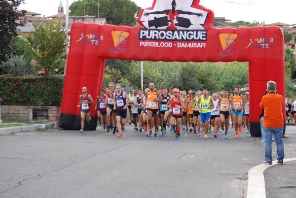 Corsa del S.S. Salvatore - Trofeo Fabrizio Irilli  [C.C.R.] (08/09/2019) 00015