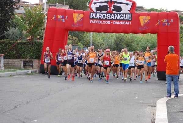 Corsa del S.S. Salvatore - Trofeo Fabrizio Irilli  [C.C.R.] (08/09/2019) 00016