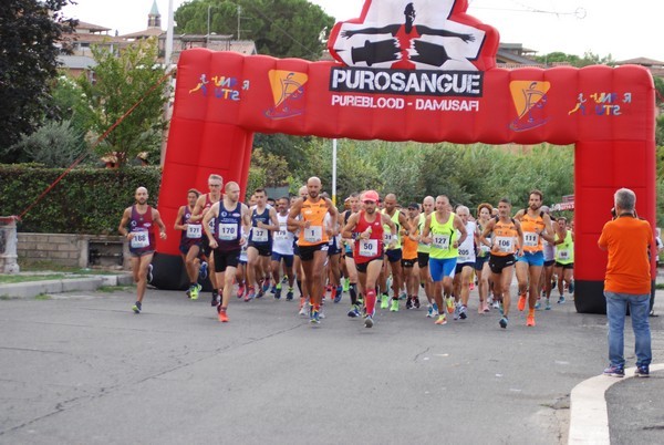 Corsa del S.S. Salvatore - Trofeo Fabrizio Irilli  [C.C.R.] (08/09/2019) 00017