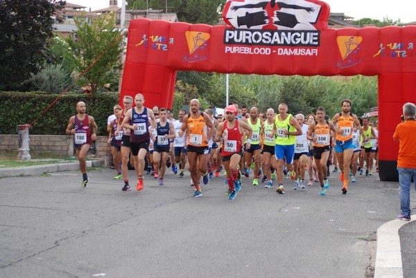 Corsa del S.S. Salvatore - Trofeo Fabrizio Irilli  [C.C.R.] (08/09/2019) 00018
