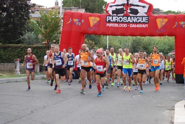 Corsa del S.S. Salvatore - Trofeo Fabrizio Irilli  [C.C.R.] (08/09/2019) 00019