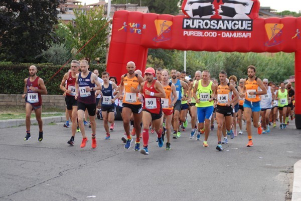 Corsa del S.S. Salvatore - Trofeo Fabrizio Irilli  [C.C.R.] (08/09/2019) 00020
