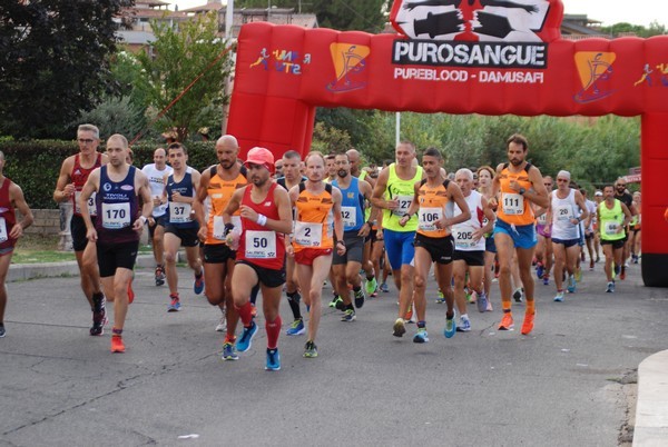 Corsa del S.S. Salvatore - Trofeo Fabrizio Irilli  [C.C.R.] (08/09/2019) 00021