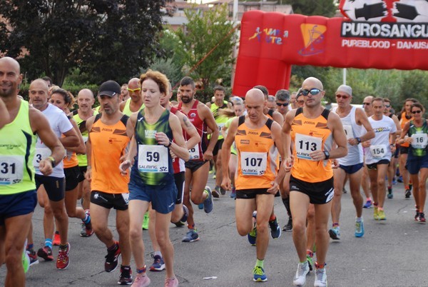 Corsa del S.S. Salvatore - Trofeo Fabrizio Irilli  [C.C.R.] (08/09/2019) 00028