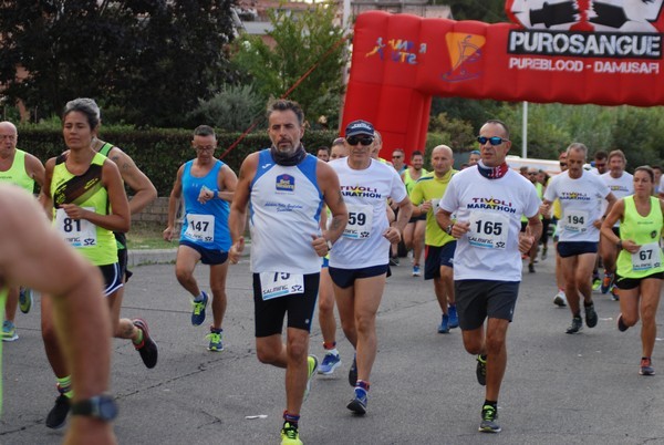 Corsa del S.S. Salvatore - Trofeo Fabrizio Irilli  [C.C.R.] (08/09/2019) 00041