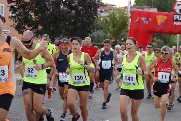 Corsa del S.S. Salvatore - Trofeo Fabrizio Irilli  [C.C.R.] (08/09/2019) 00057