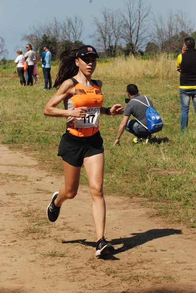 Trofeo Città di Nettuno [TOP] (02/06/2019) 00085