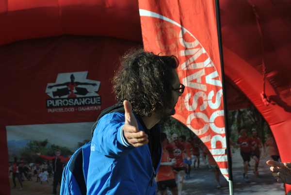 Roma 3 Ville Run [TOP] [GOLD] (25/04/2019) 00025