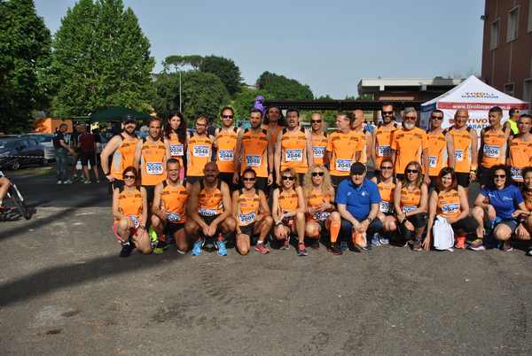 Maratonina 