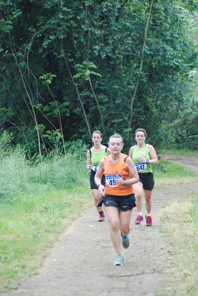 Race for Children [TOP] (12/05/2019) 00045