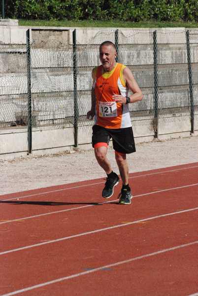 Roma 3 Ville Run [TOP] [GOLD] (25/04/2019) 00003