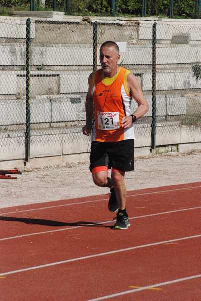 Roma 3 Ville Run [TOP] [GOLD] (25/04/2019) 00004