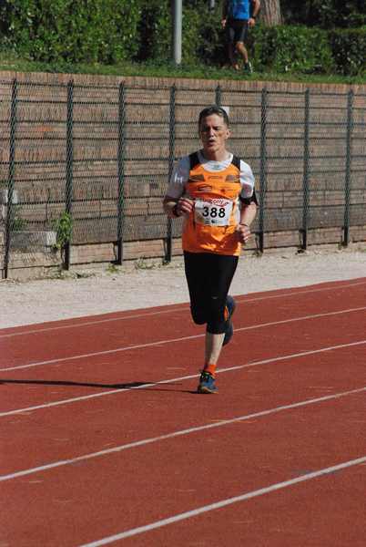 Roma 3 Ville Run [TOP] [GOLD] (25/04/2019) 00052