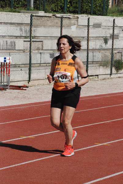 Roma 3 Ville Run [TOP] [GOLD] (25/04/2019) 00091