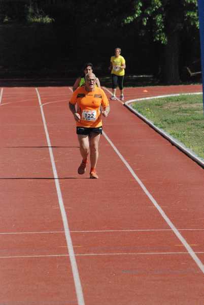 Roma 3 Ville Run [TOP] [GOLD] (25/04/2019) 00093