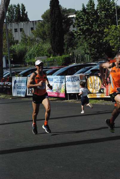 Maratonina 