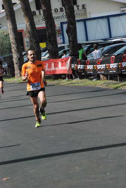 Maratonina 