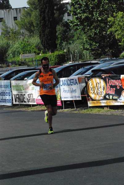 Maratonina 