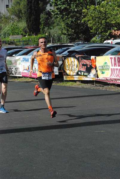 Maratonina 