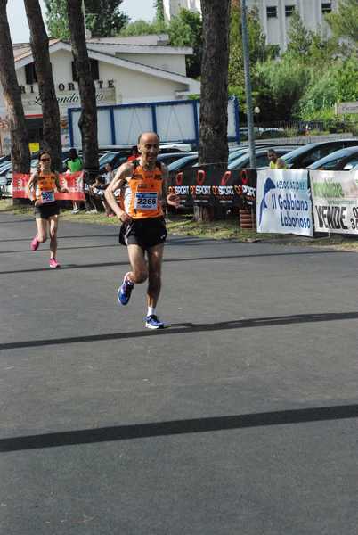 Maratonina 