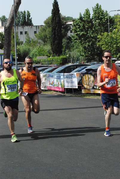 Maratonina 