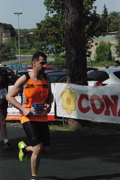 Maratonina 