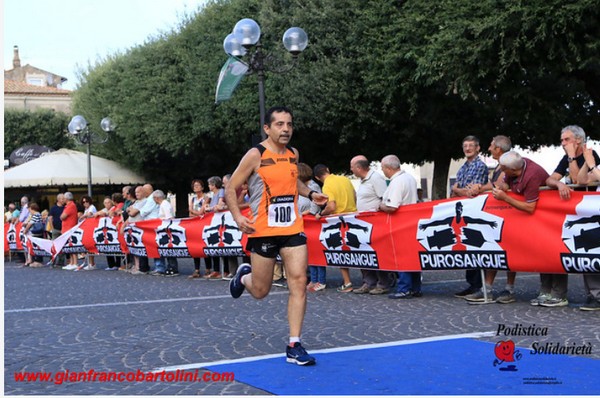 L'Arrampicata di Tolfa [CE] (22/08/2019) 00047
